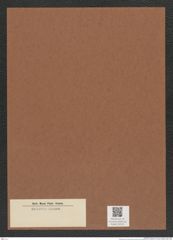 Diatomeae indet. Zeichnungen Sammlung Grunow Mappe 04521 (Herbarium_W_Grunow_drawings_Folder_04521)